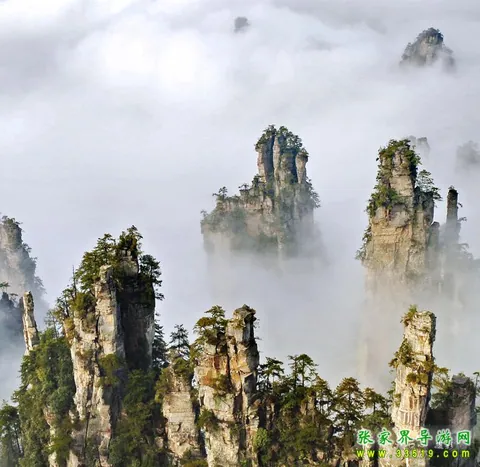 天子山石峰