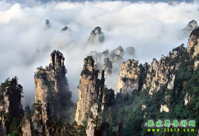 天子山峰林