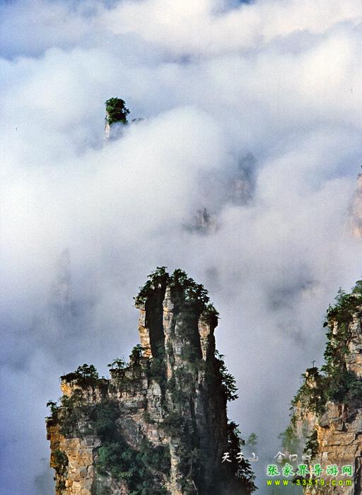 天子山瑶池