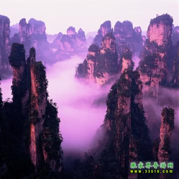 天子山群峰