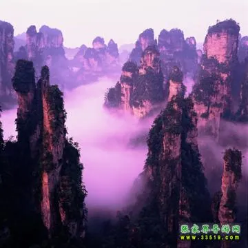 天子山群峰