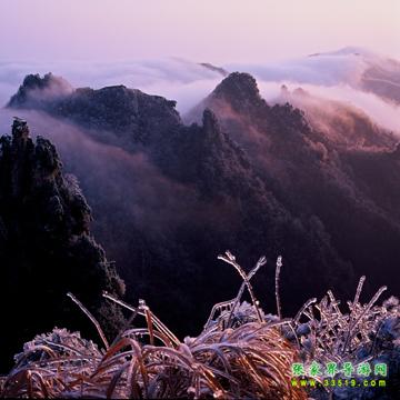 天子山风光