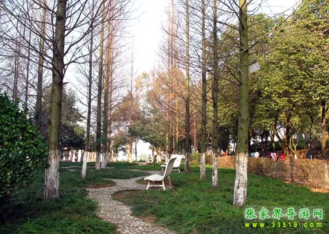 张家界市区风景