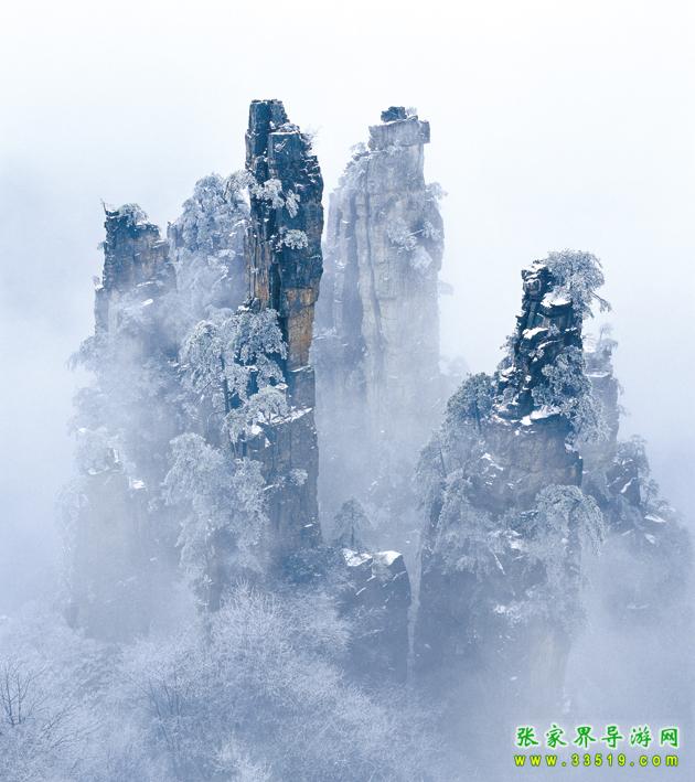 天子山冬日风光