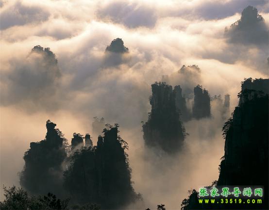 天子山风光