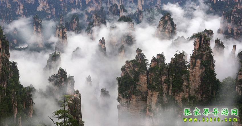 天子山峰林