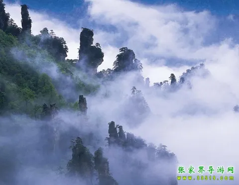 天子山仙女散花