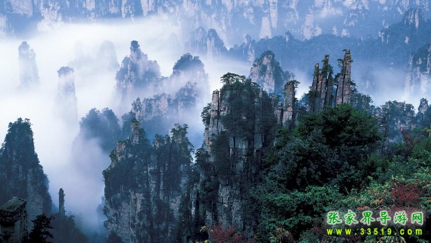 天子山风光