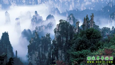 天子山风光