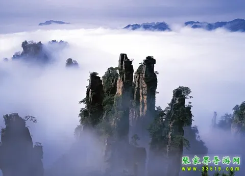 天子山风光