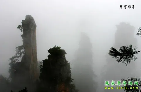 天子山风光