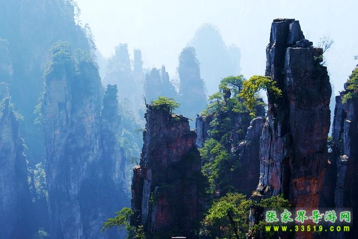 天子山风光