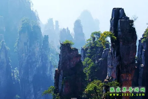 天子山风光