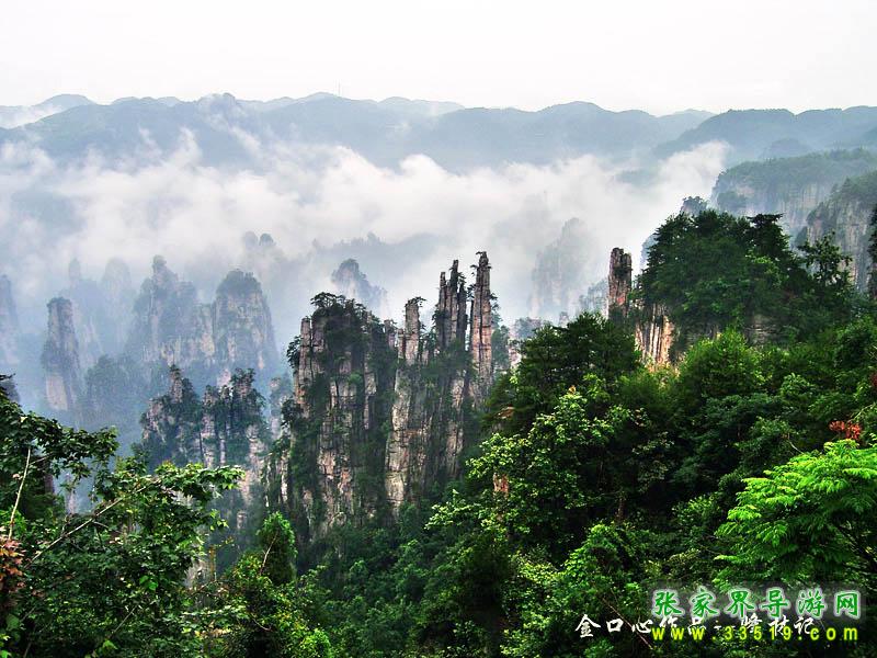 天子山风光