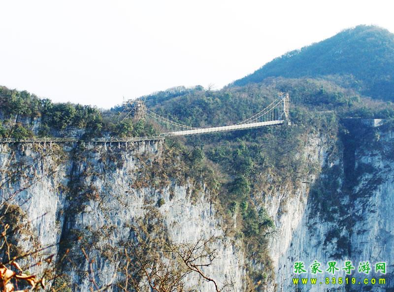 峡谷吊桥