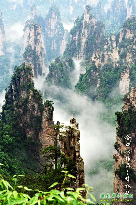 天子山峰林