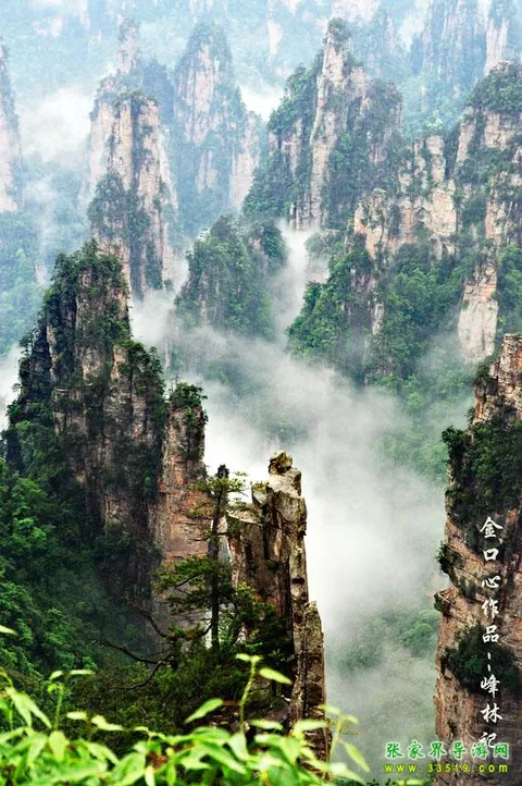 天子山峰林