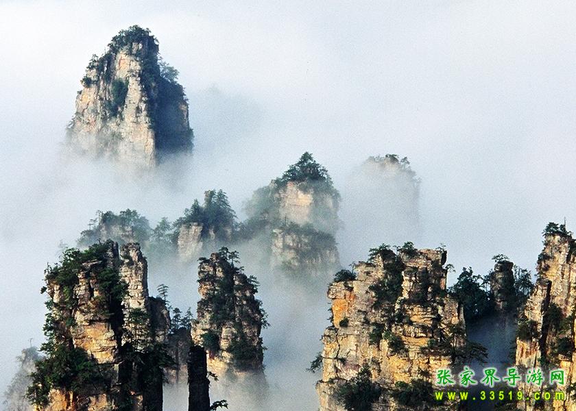 天子山风光