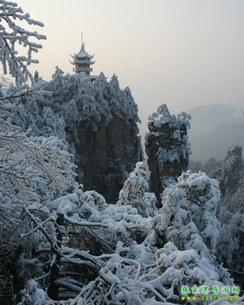 天子山雪景