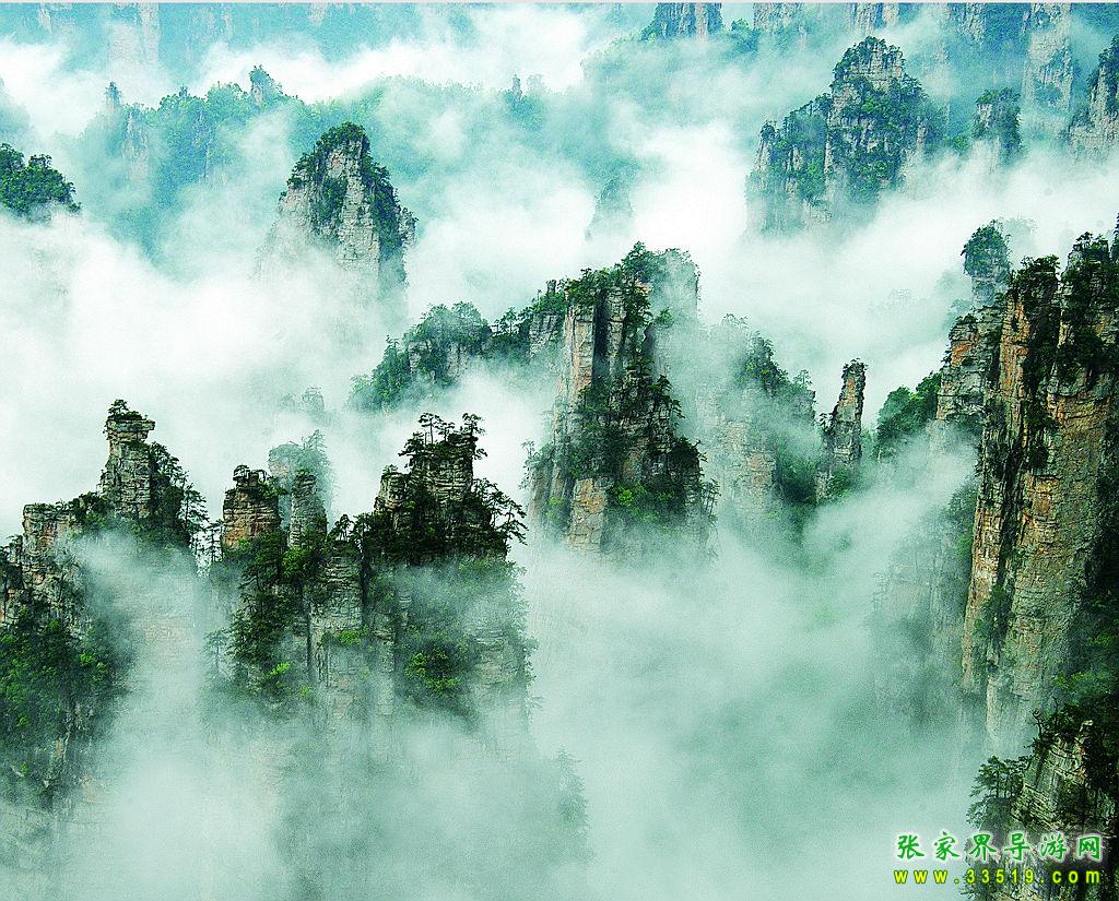 天子山风光