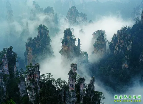 天子山峰林