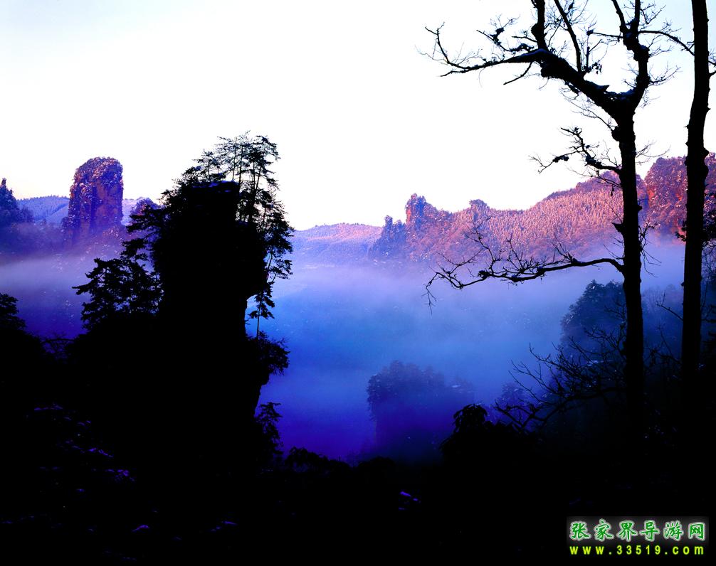 天子山风光