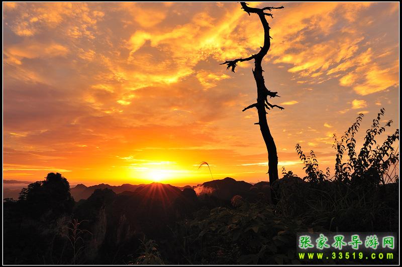 天子山日出