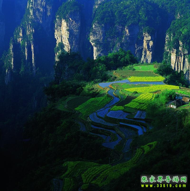 杨家界空中田园