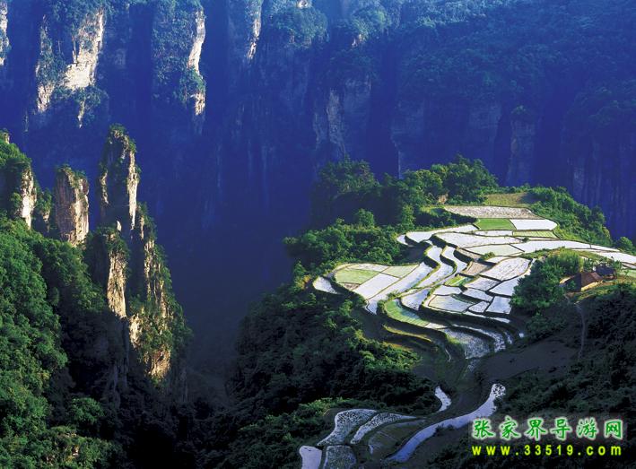 杨家界空中田园