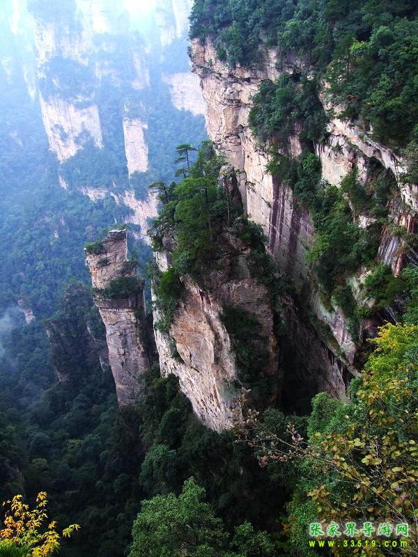 杨家界风景