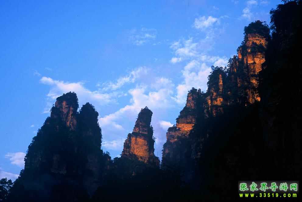 仰视天子山