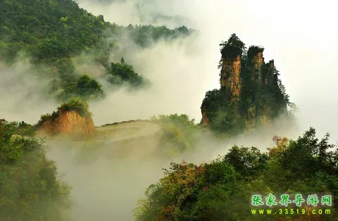 天子山公路
