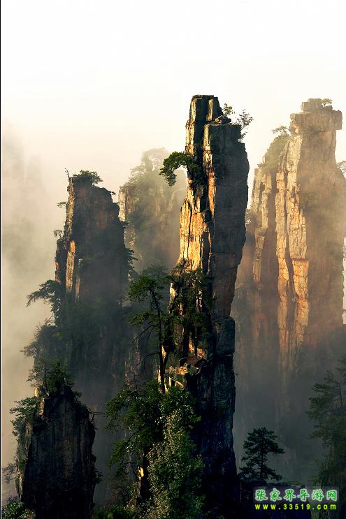 天子山峰林