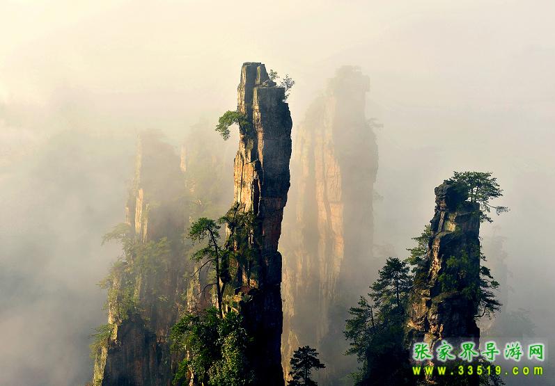 天子山峰林