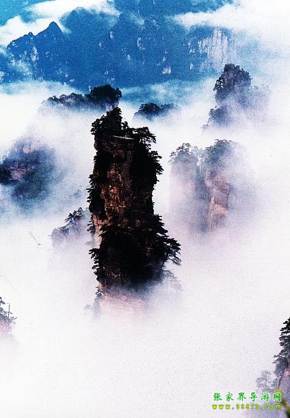 天子山峰王