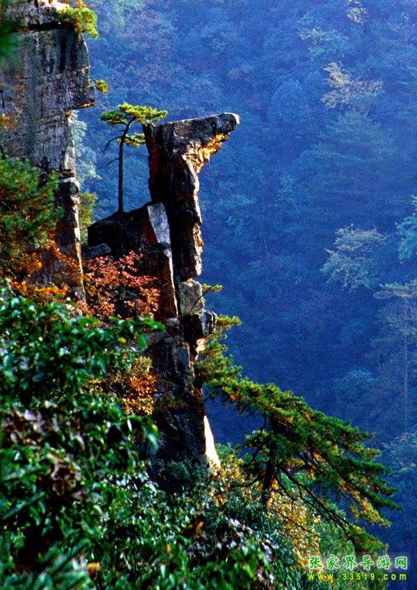 鹞子寨风景