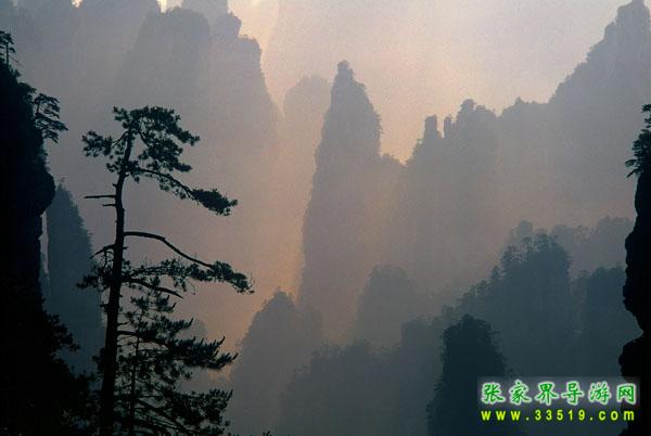 鹞子寨风光