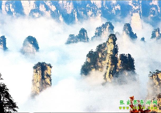 天子山峰林