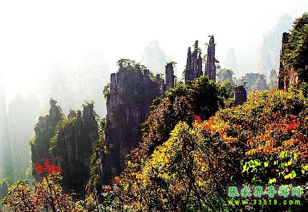 天子山风光