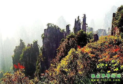 天子山风光