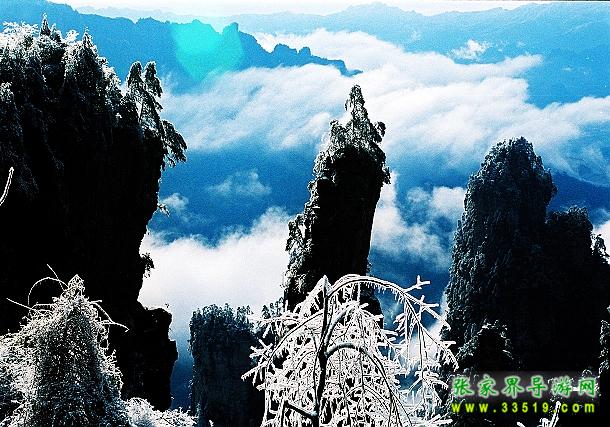 天子山雪景