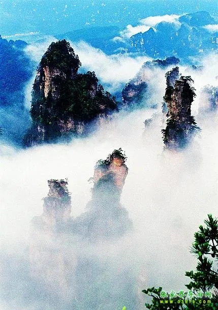 天子山风光