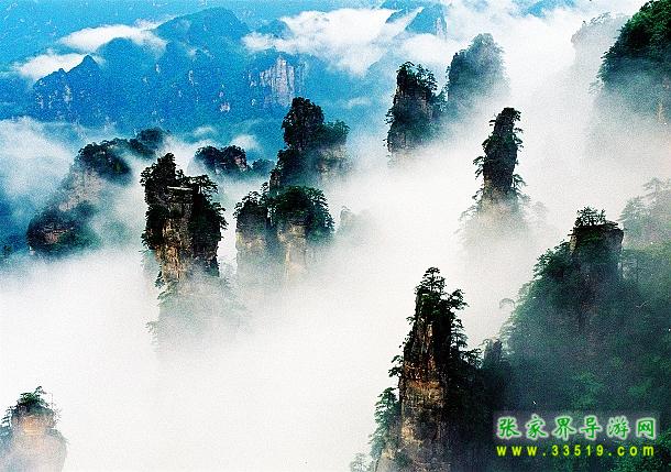 天子山风光