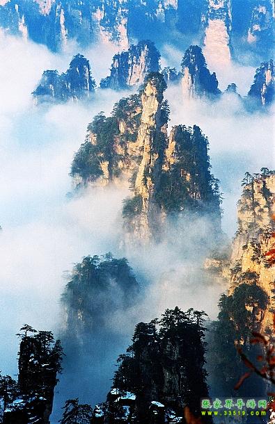 天子山峰林