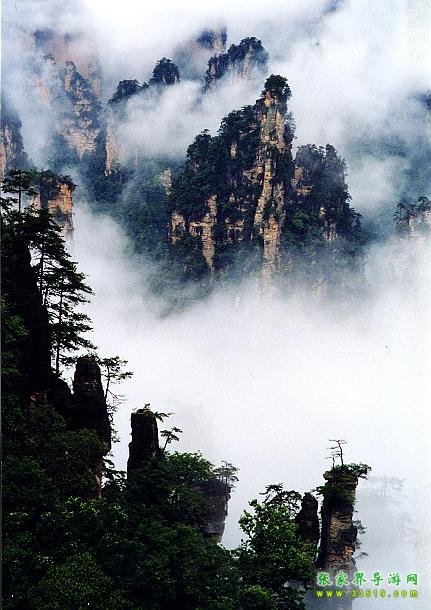 天子山风光