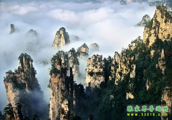 天子山风光