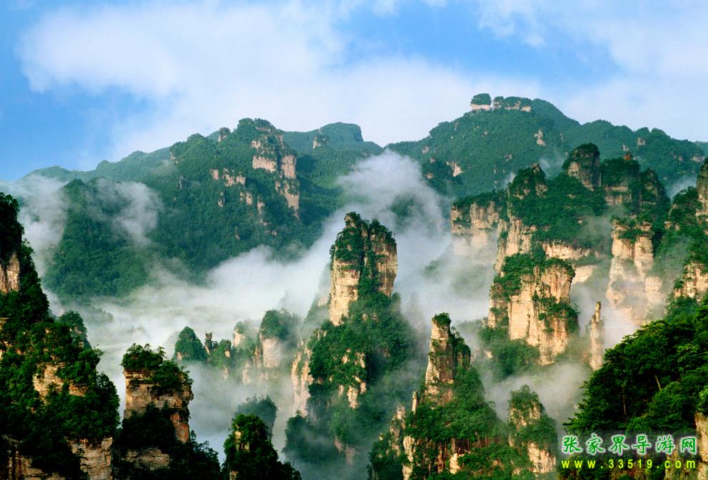 天子山群峰