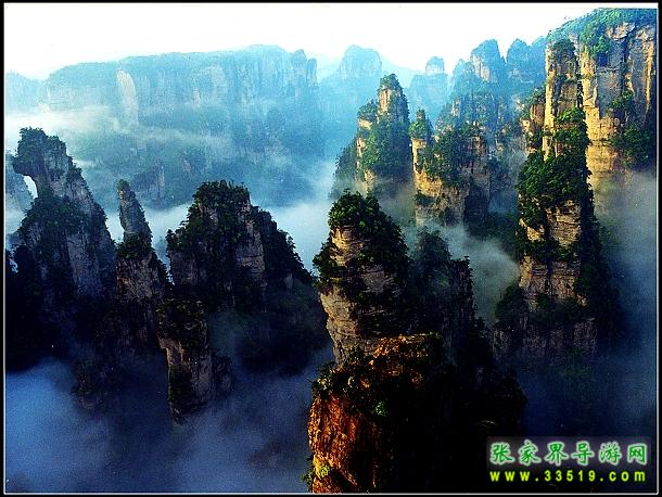 天子山群峰