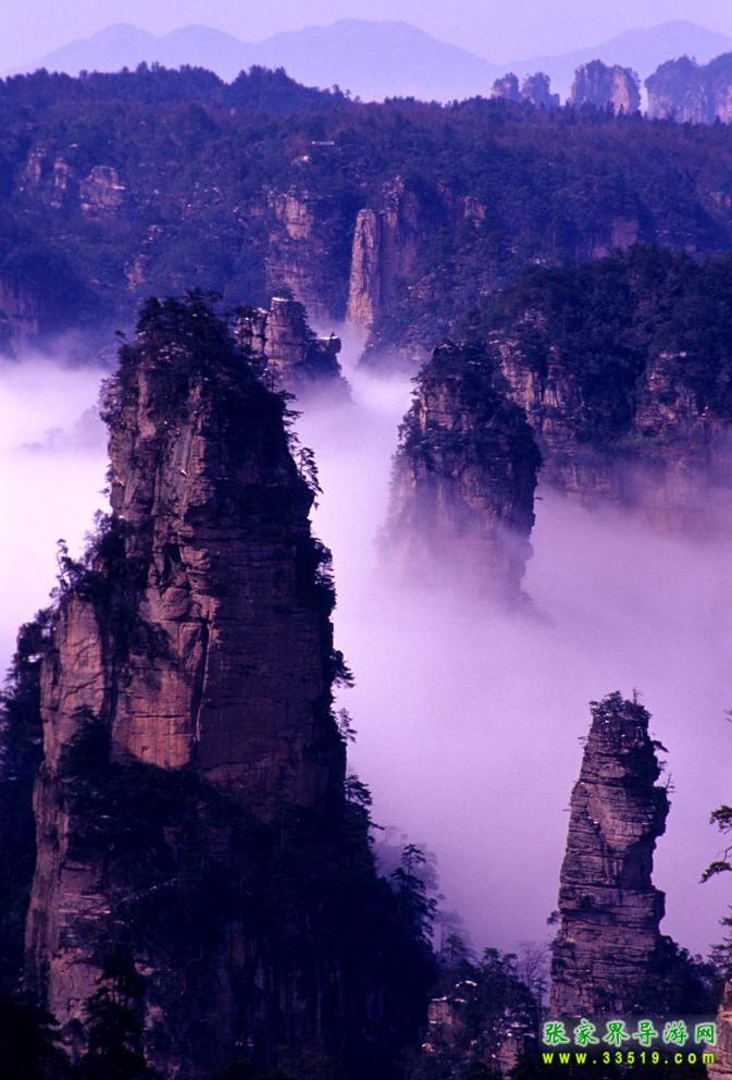 天子山风光