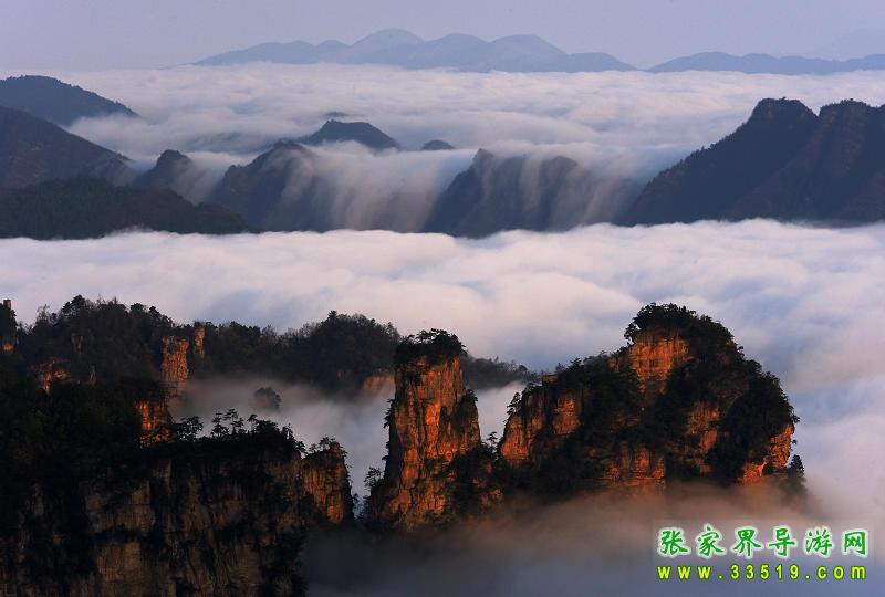 天子山云海